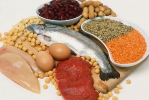 variety-of-protein-sources