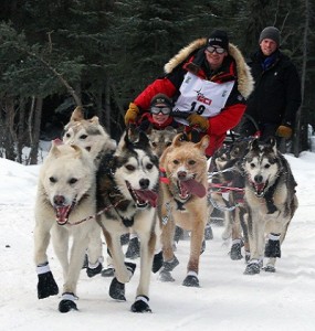 Iditarod_Ceremonial_start,_Mitch_Seaveys_team