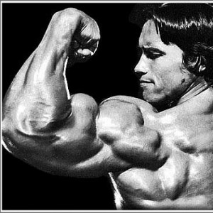 arnold-big-arms