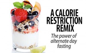 art-diet-calorierestriction (1)