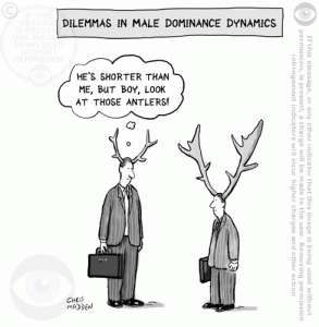 bigger-antlers-shorter-man-cartoon-chris-madden