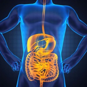 Gut health 2