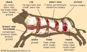 cuts-of-beef