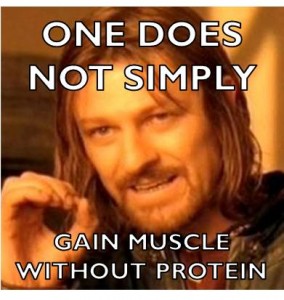 protein_meme