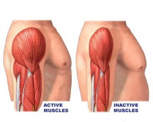 Muscle Atrophy