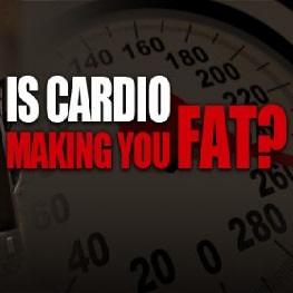 cardio makes ya fat