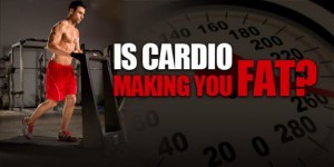 sm_cardio-fat-banner