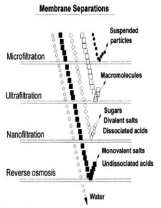 whey-protein-cross-flow-microfiltration