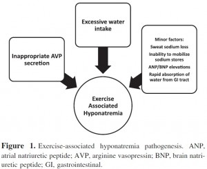 exercise associated hyponatremia pathogenesis