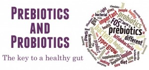 prebioticsandprobiotics