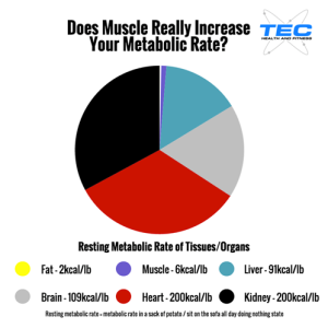 metabloic-rate